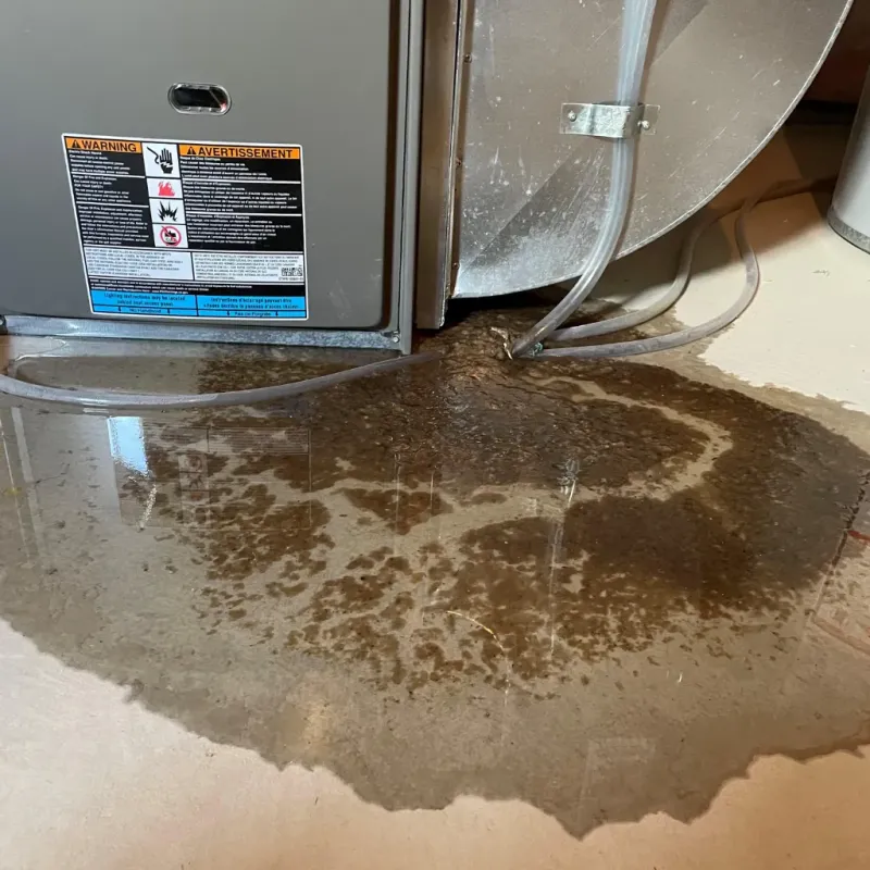 Appliance Leak Cleanup in Temple, GA